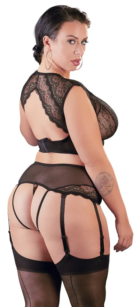 Cottelli CURVES Bralette and Suspender | Plus size