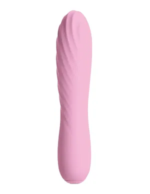 Desire Destiny Vibrator