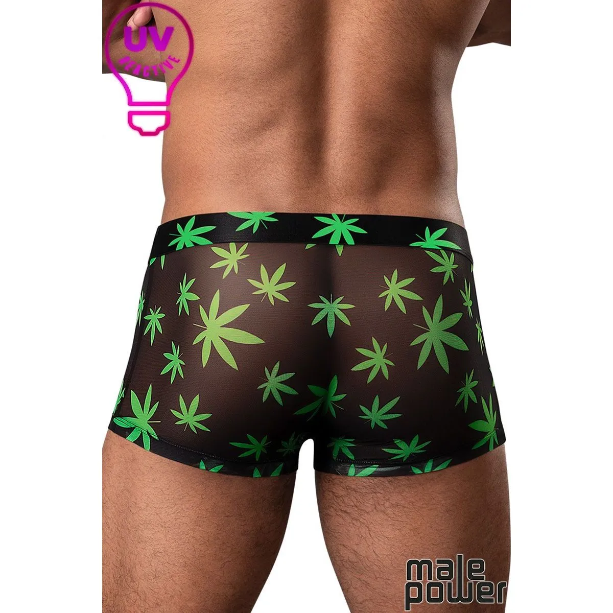 Hazy Days Shorts Leaf by Male Power