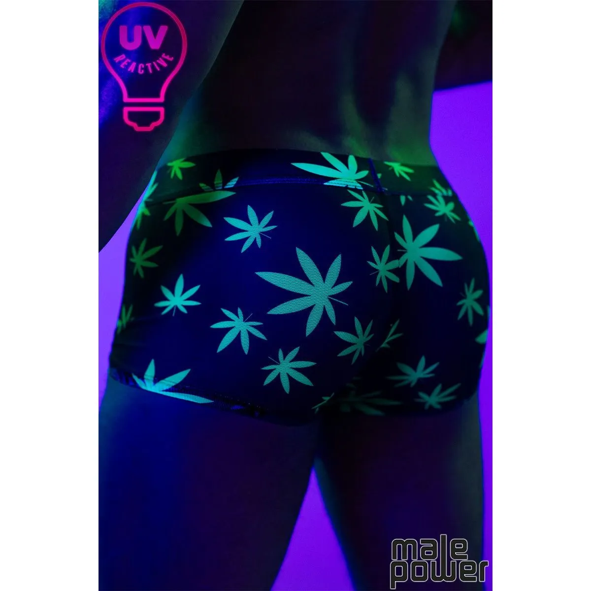 Hazy Days Shorts Leaf by Male Power