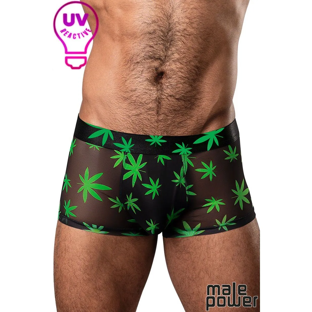 Hazy Days Shorts Leaf by Male Power