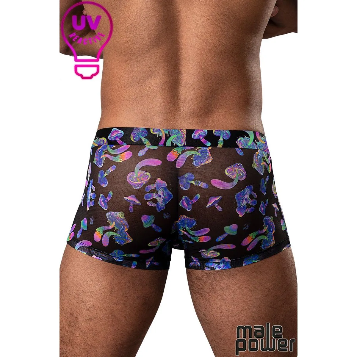 Hazy Days Shorts Mushroom by Male Power