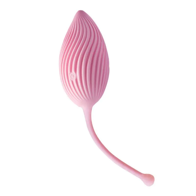 JJYoung Jumping Egg Wireless Remote Control Vibration