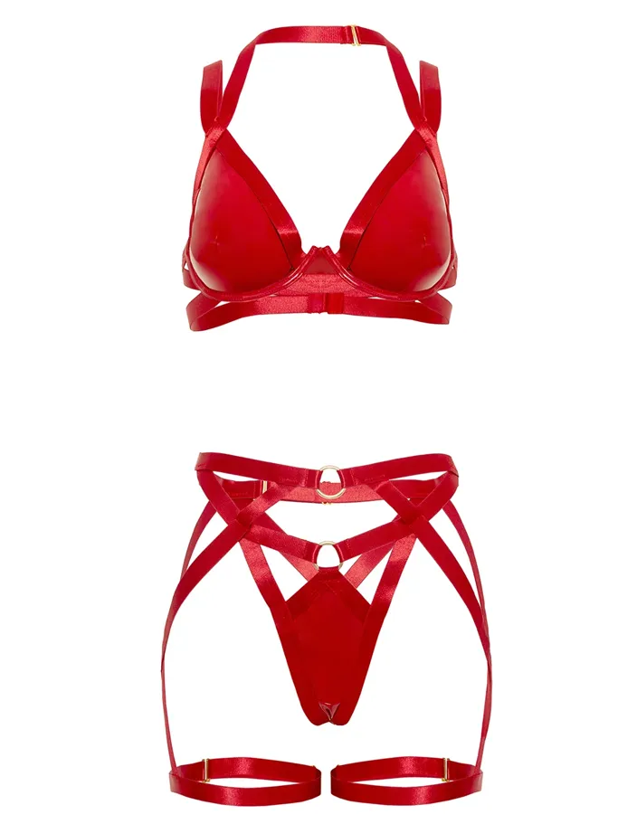 Lover Vinyl & Mesh Multi Strap Bra & Garter Thong Set