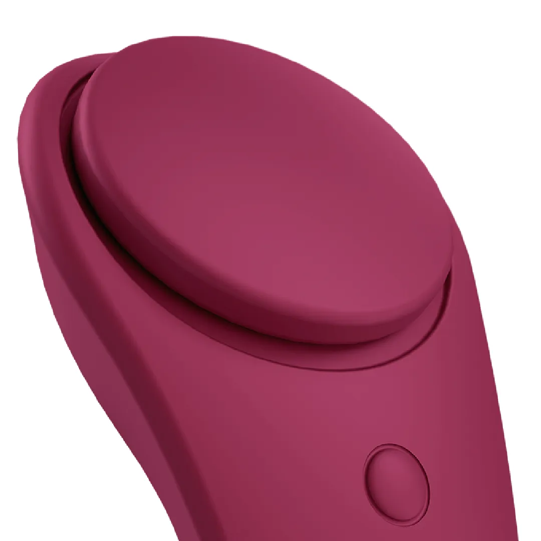 Satisfyer Sexy Secret Panty Vibrator with App Control